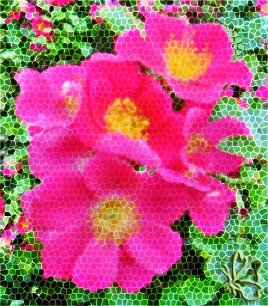 flowers-21.jpg